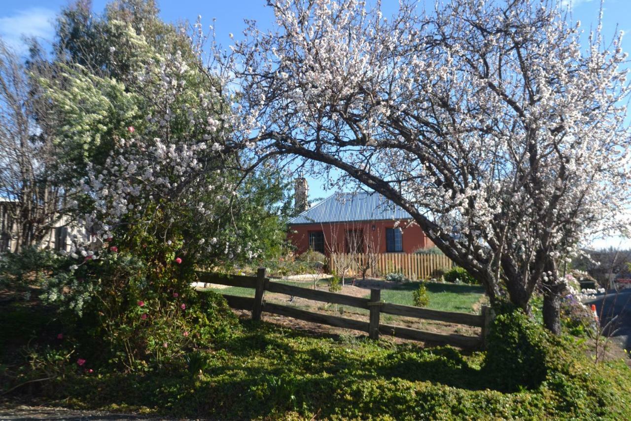 Mulberry Cottage Unique B&B Accommodation 리치몬드 외부 사진